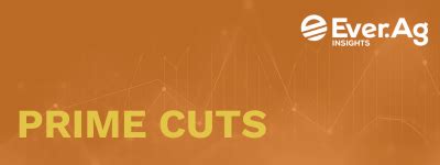 prime cuts   tabitha cash