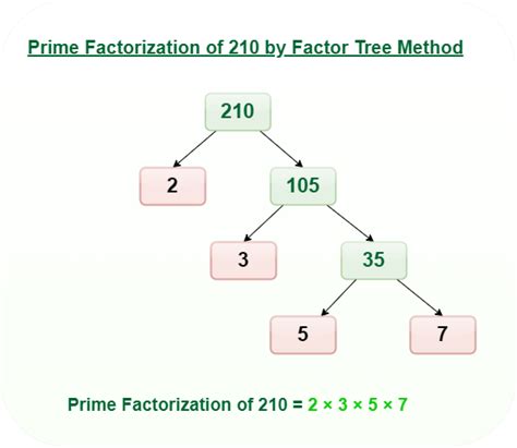 prime factorization method in java