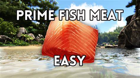PRIME FISH AND MEAT HUNTING PLUS TAMING ARK YouTube