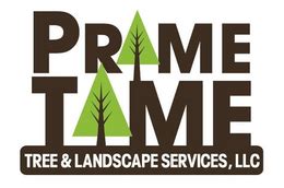 prime time tree service