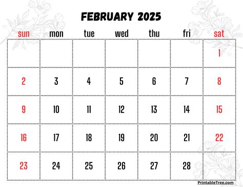 Abc Schedule 2025 Dodie Kendre