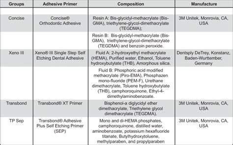 Primer Adhesive Composition