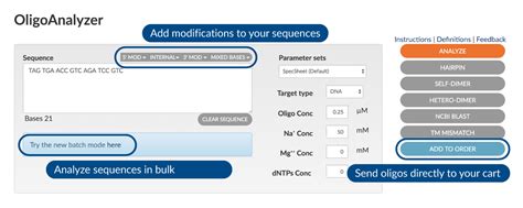 Primer Design Oligoanalyzer