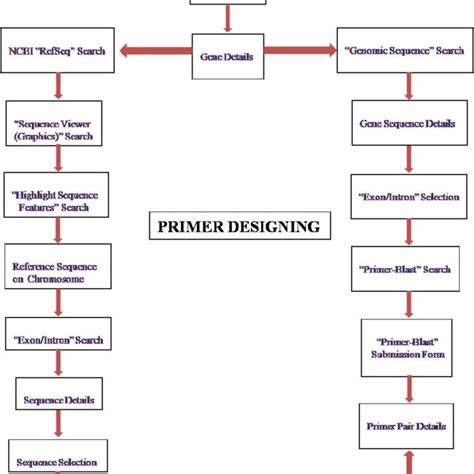 Primer Designing Tools List