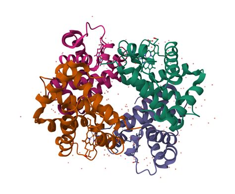 Primer Mw Calculator