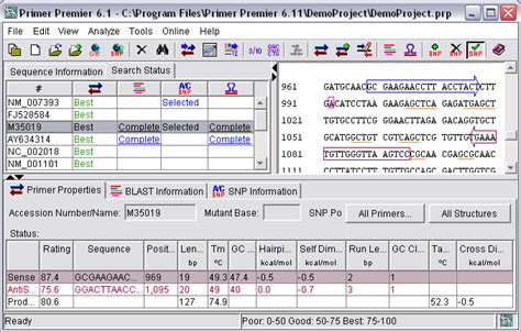Primer Software Company