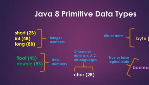 primitive data types in java programming