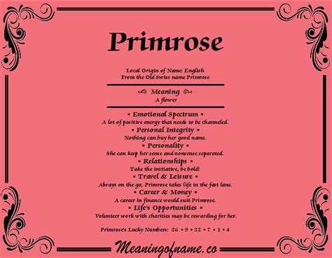 Primrose Literary Meaning