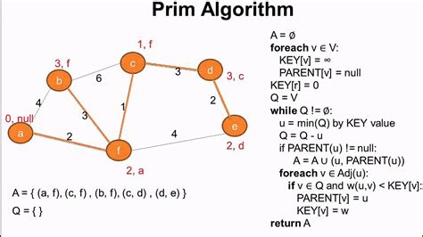 prims in data structure