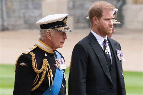 prince harry and king charles iii