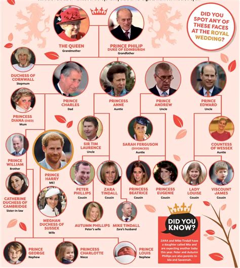 prince harry family tree