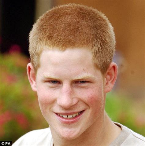 prince harry news and views daily mail