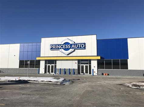 Princess Auto Da Sander