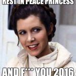 Princess Leia, Disney's Newest Princess from That's So Vader! Top Star