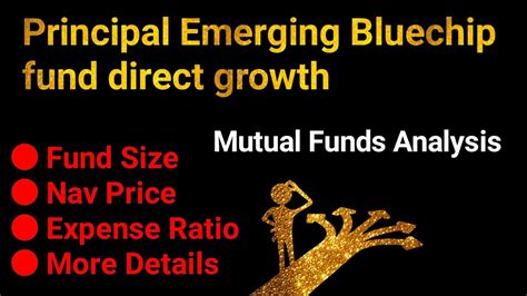 principal emerging bluechip fund growth