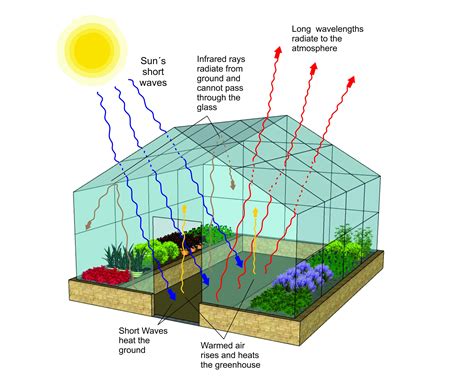 Principle Of Greenhouse Technology