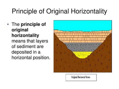 Unlocking the Secrets: The Principle of Horizontality in Design & Its Surprising Impact