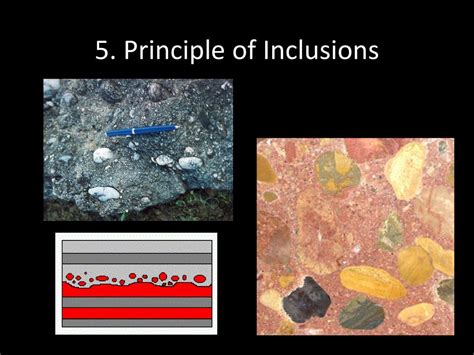 Unveiling the Secrets: How the Principle of Inclusions Reshapes Our Understanding