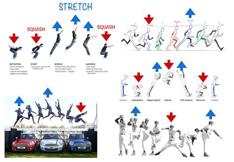 Principle Of Squash And Stretch
