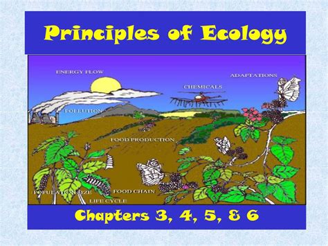Principles Of Ecology: Understanding The Interconnectedness Of Nature