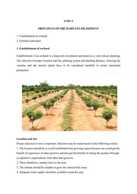 Awasome Principles Of Orchard Establishment Update
