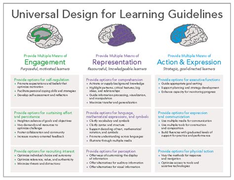 Principles Of Universal Design For Learning Guidelines