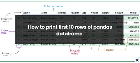 print first n rows of dataframe python