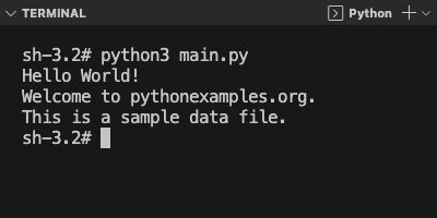 Print Output Of Python To File