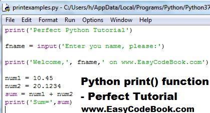 Print Output Python Function