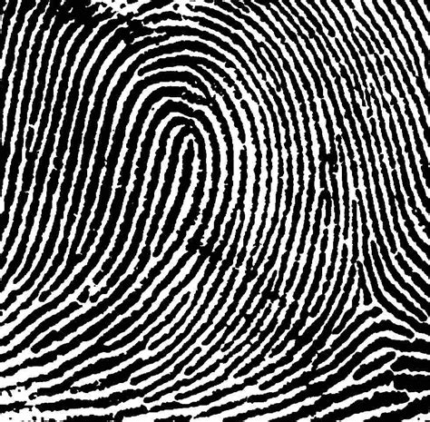 Print Pattern Loop