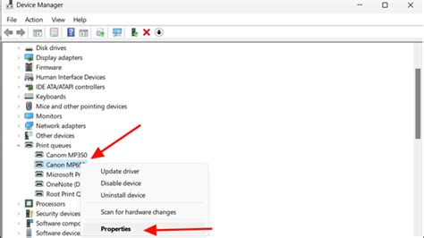 Print Queue Device Manager
