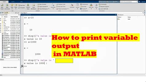 print statement matlab