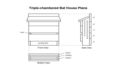 How to build a bat house part 1 Bat house, Build a bat house, Bat