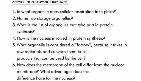 Printable Biology Worksheets