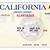 printable california temporary driver s license template