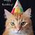 printable cat birthday cards free