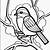 printable coloring pages birds