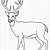printable coloring pages deer