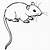 printable coloring pages rats