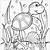 printable coloring pages turtle