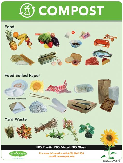 Composting Basics Infographic Conscious Living TV