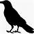 printable crow silhouette