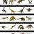 printable dinosaur pictures with names pdf
