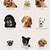 printable dog breed poster