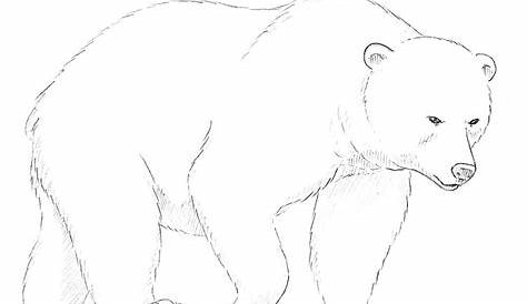 How to Draw a Bear · Art Projects for Kids