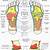 printable foot reflexology chart