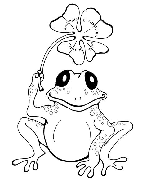 Frog coloring pages Drawing style of a lonely frog to color Frogs