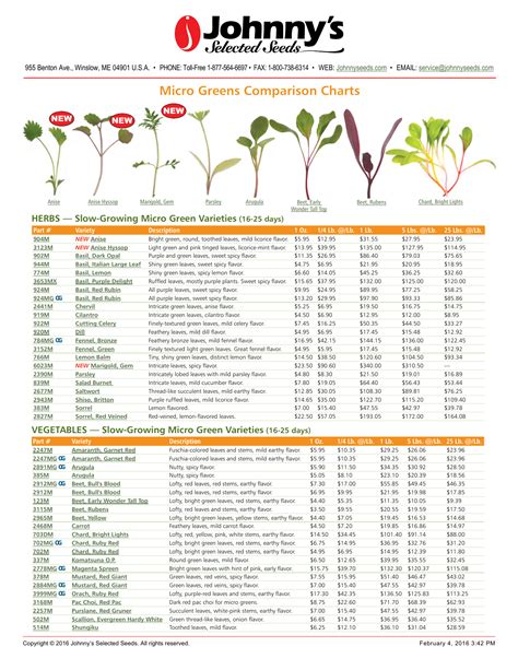 Printable Microgreens Nutrition Chart: Everything You Need To Know