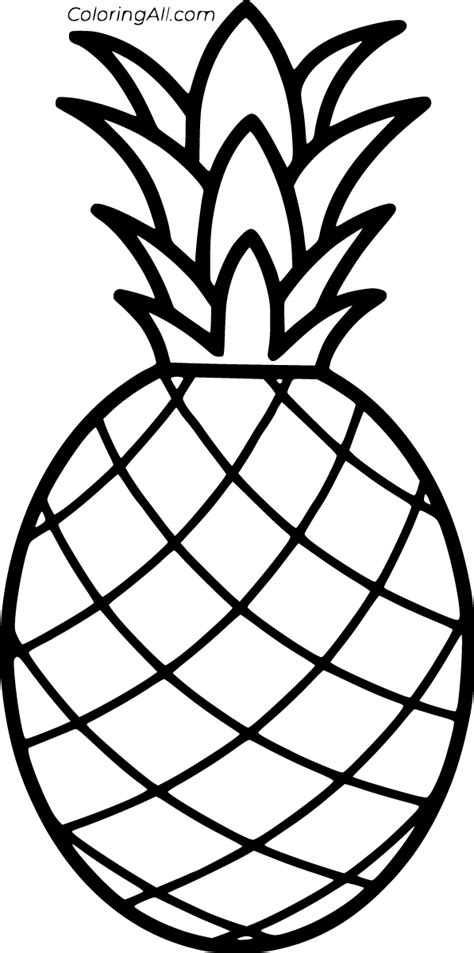 Outline black and white image of a pineapple Pineapple drawing
