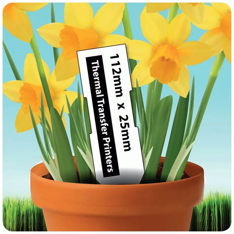 Buy Self Adhesive Printable Plant Labels from Label Bar
